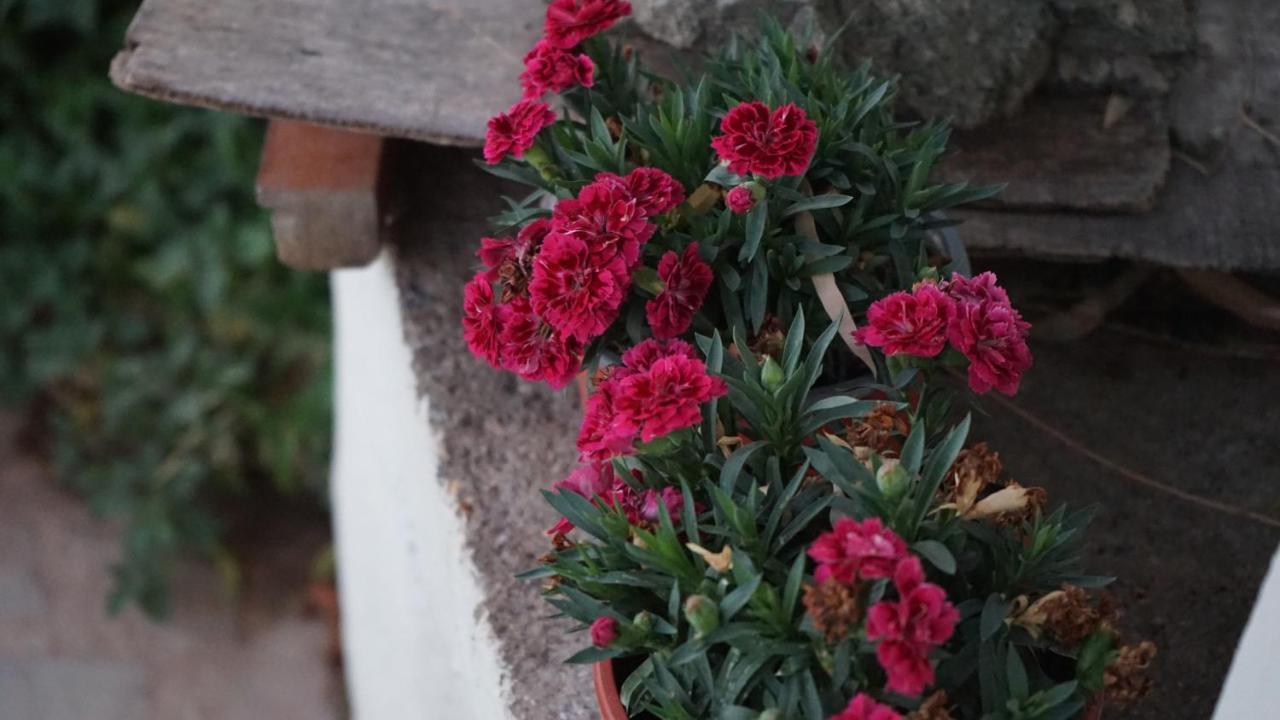 Kapsali דירה Galini (Naxos)